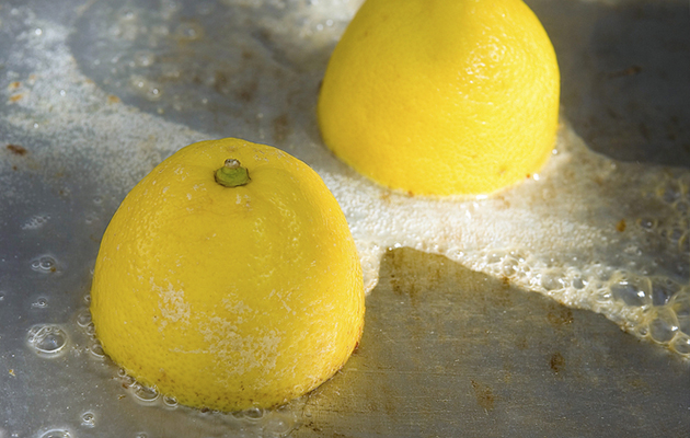 Succo di limone per pulire il forno